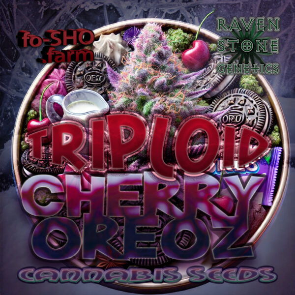 Triploid Cherry Oreoz -Cannabis Seeds - RAVEN STONE GENETICS