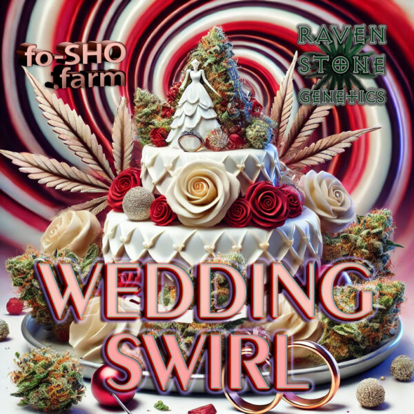 Wedding Swirl - Cannabis Seeds - RAVEN STONE GENETICS