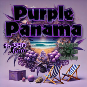 PURPLE PANAMA - 6 - Cannabis Seeds