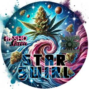 STAR SWIRL - 6 - Cannabis Seeds