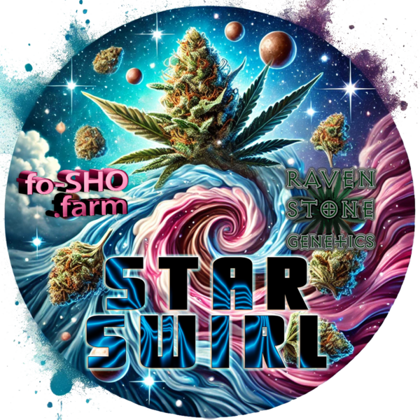 STAR SWIRL - 6 - Cannabis Seeds